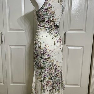 Dragon flies in a garde